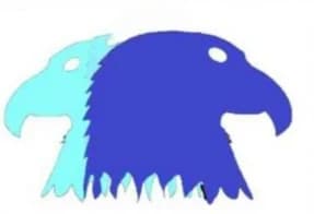 Two Eagles Electric LLC logo
